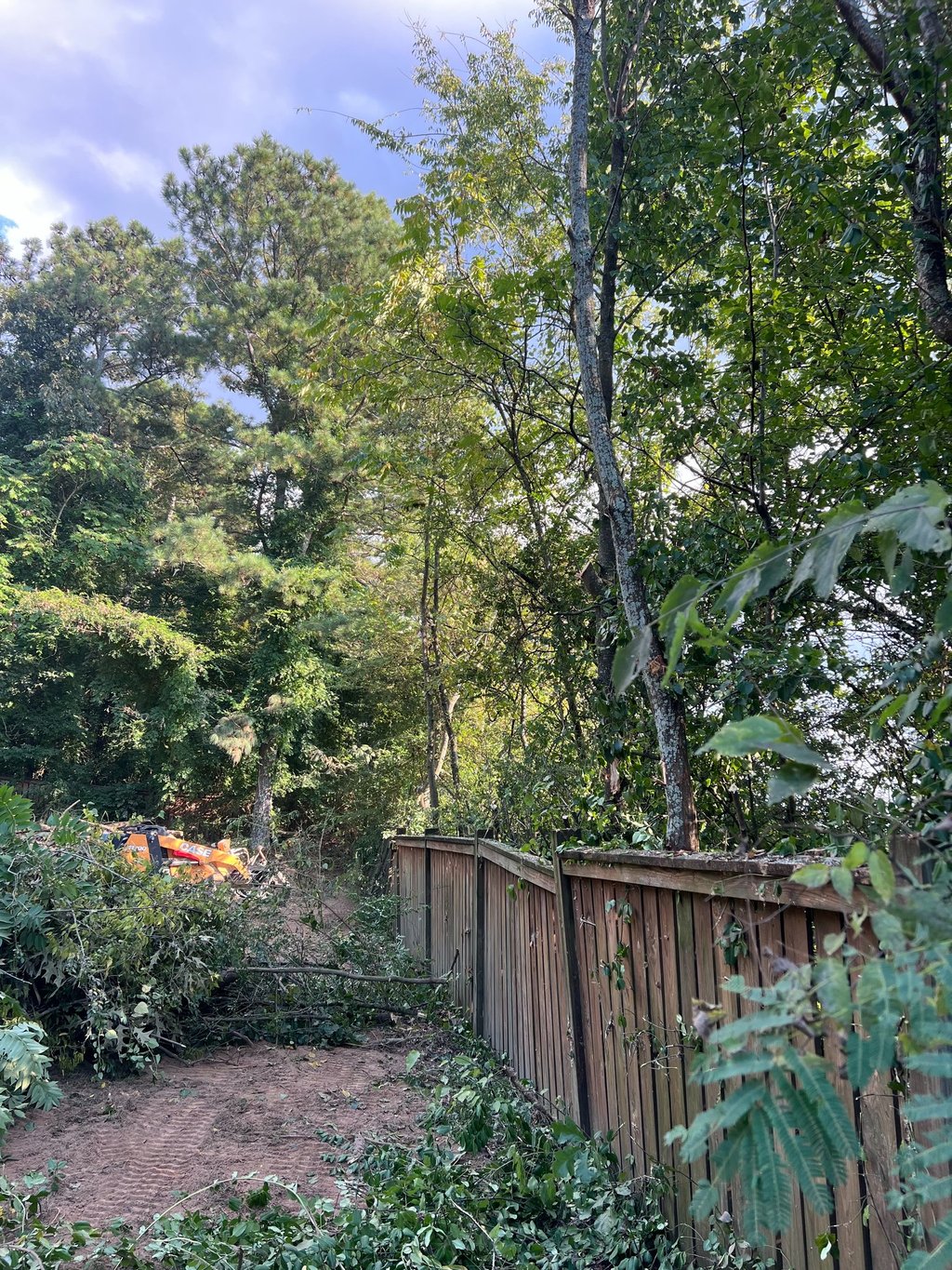 J.M.S tree removal, inc tree service work
