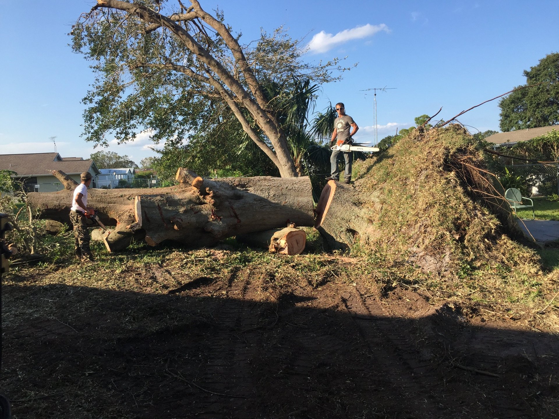 J.M.S tree removal, inc tree service work