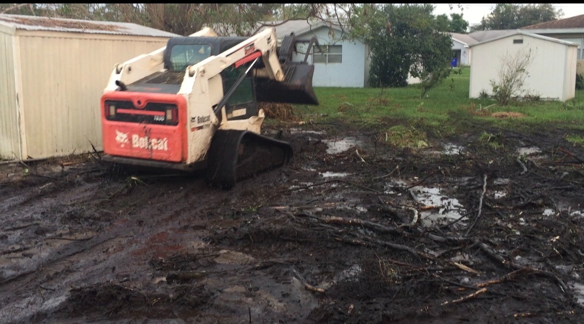 J.M.S tree removal, inc tree service work