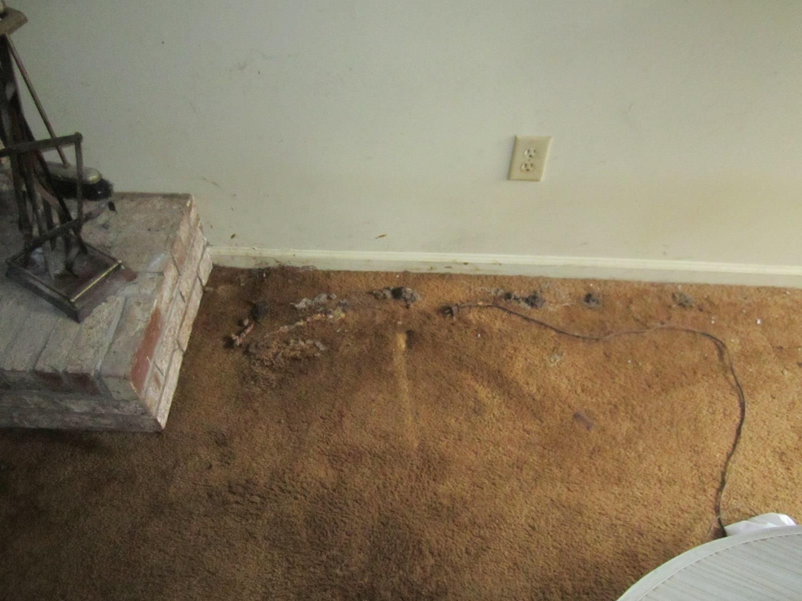 Photo of Advanced Cleaning