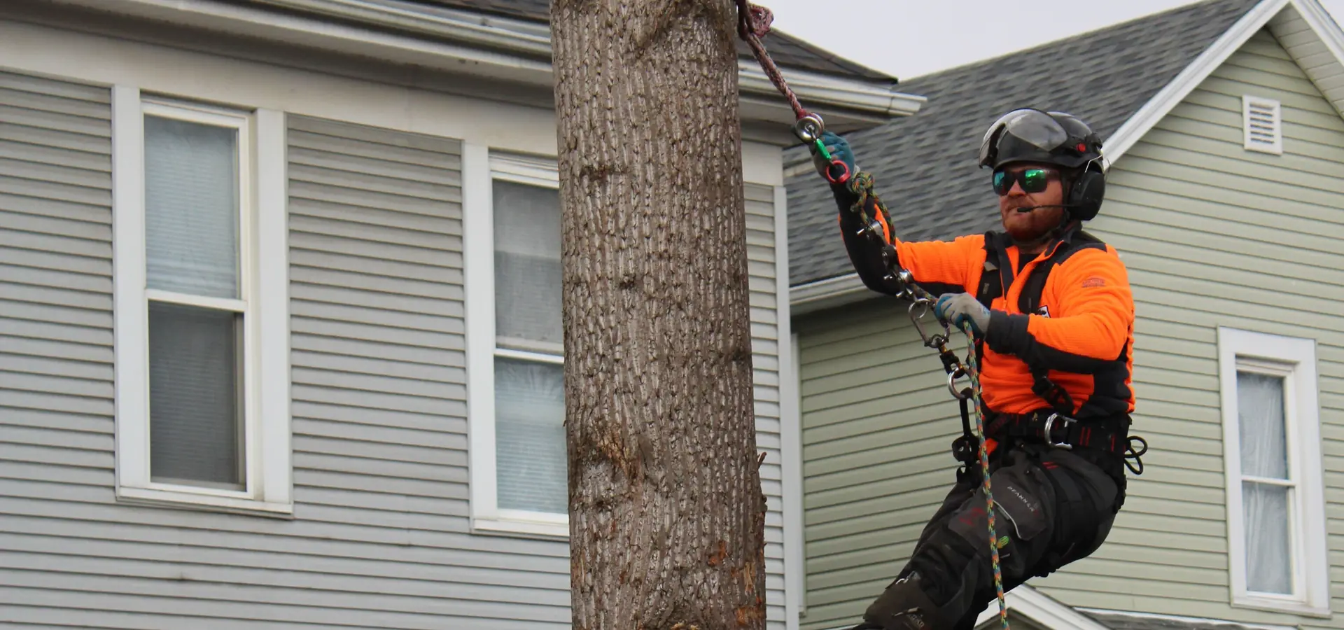 Tree removal hero