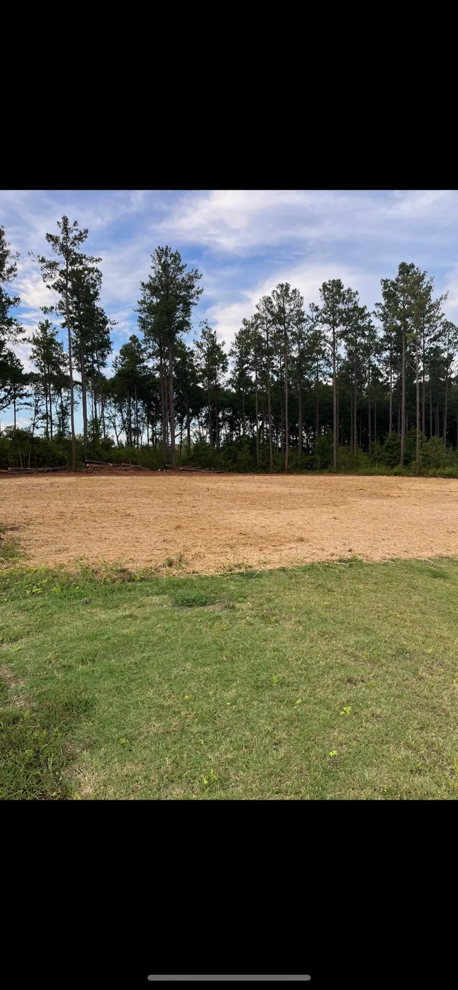 B&M Land Management & Landscapes LLC tree service work