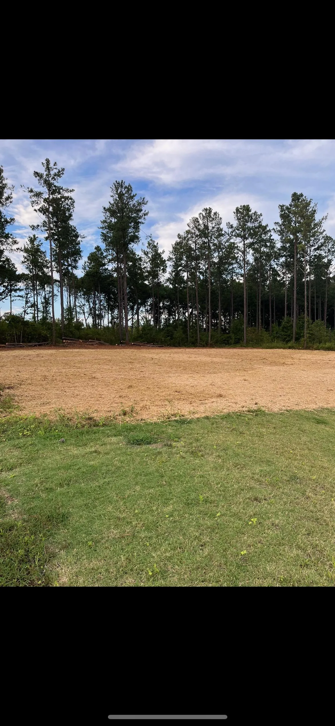 B&M Land Management & Landscapes LLC tree service work