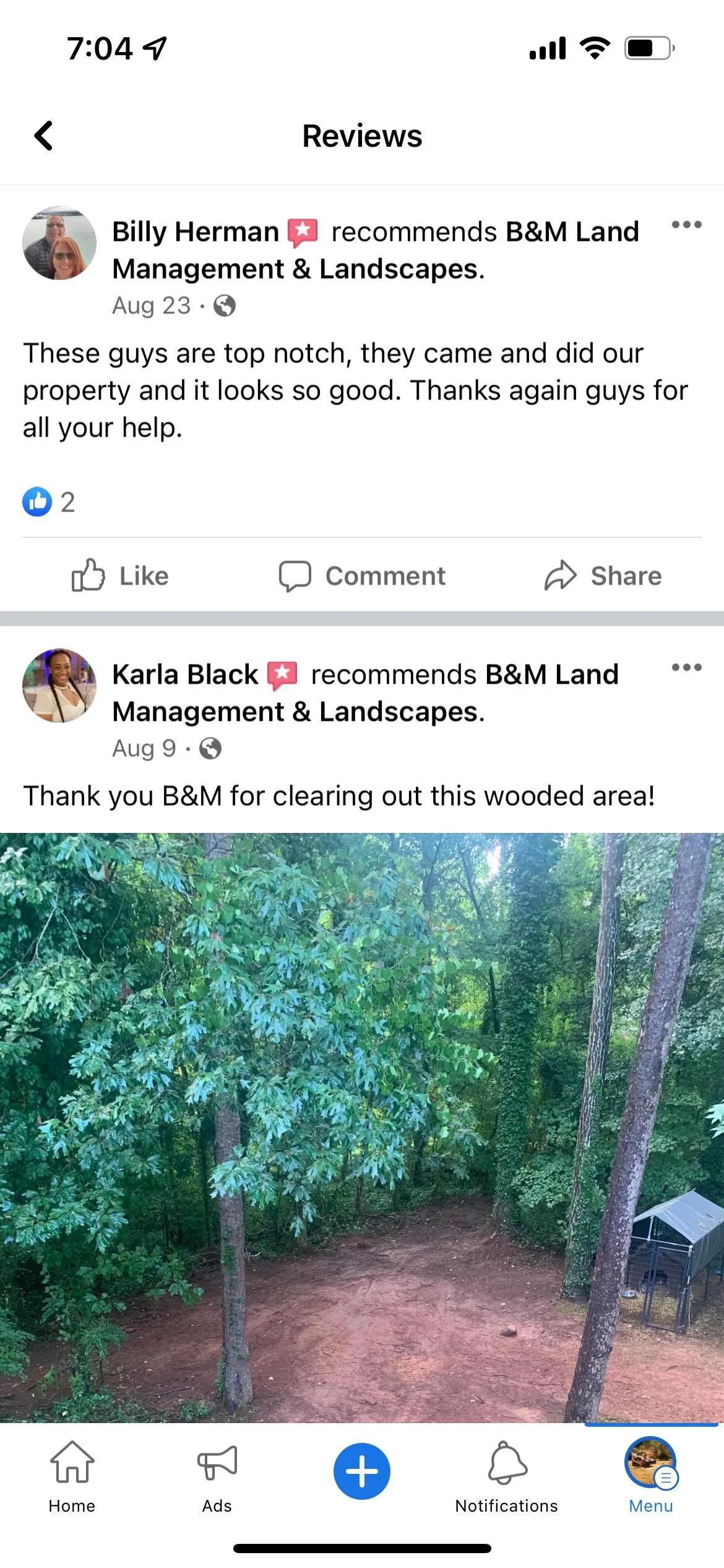 B&M Land Management & Landscapes LLC tree service work