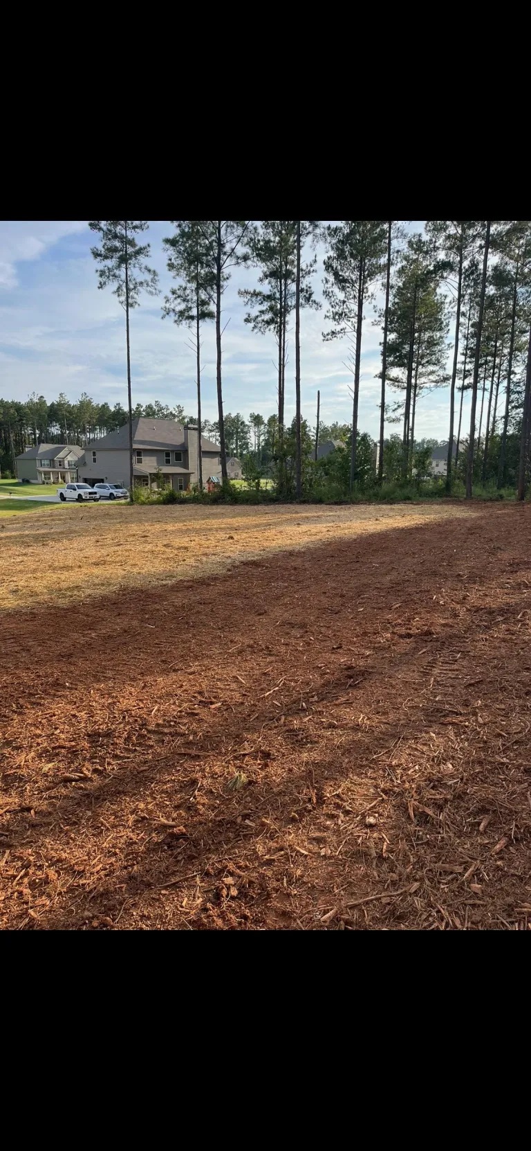 B&M Land Management & Landscapes LLC tree service work
