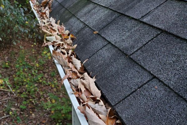 Gutter Cleaning service near me