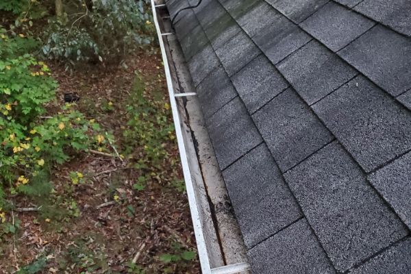 Gutter Cleaning service near me