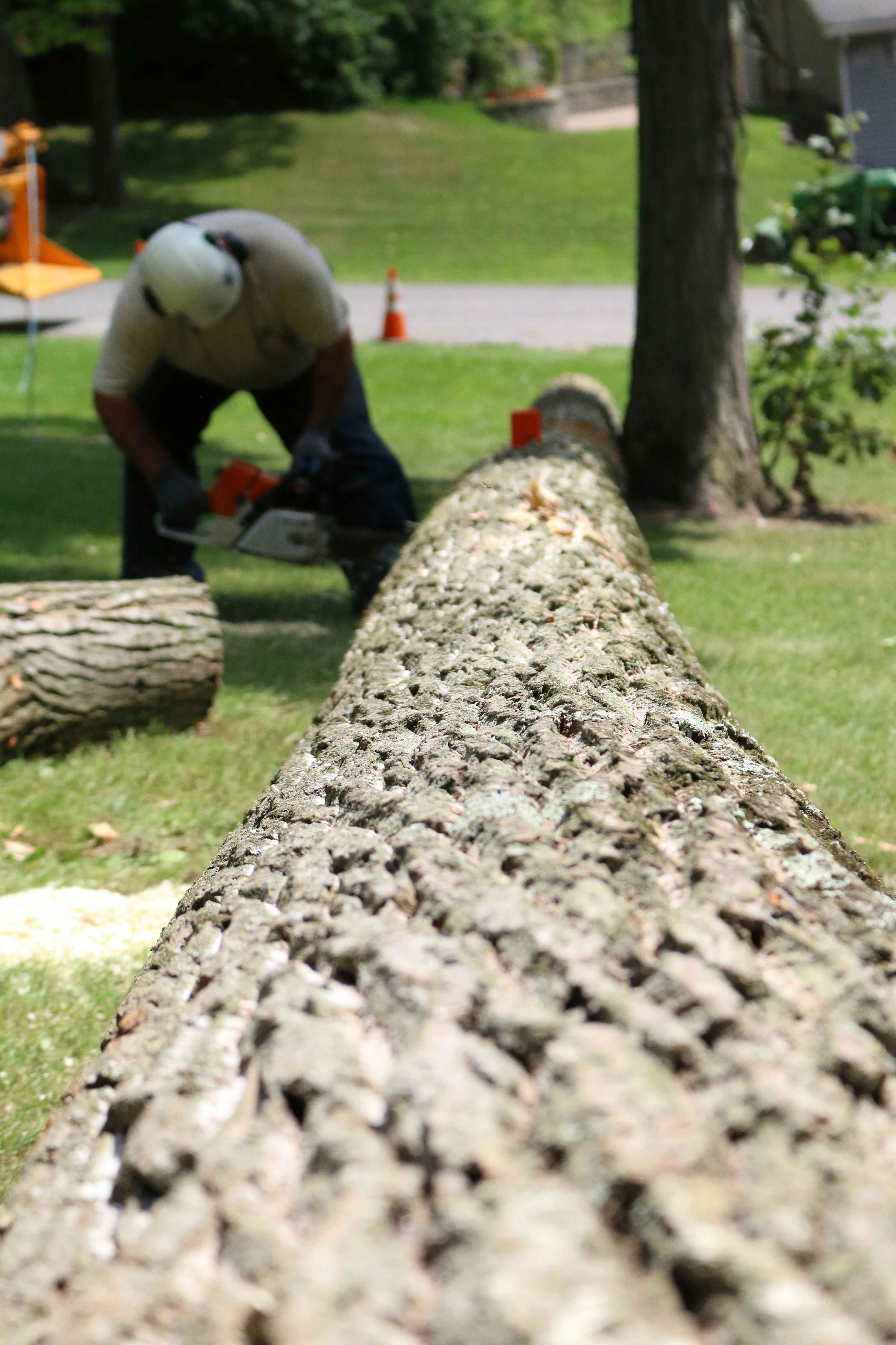 Photo of Golden Leaf Tree Service