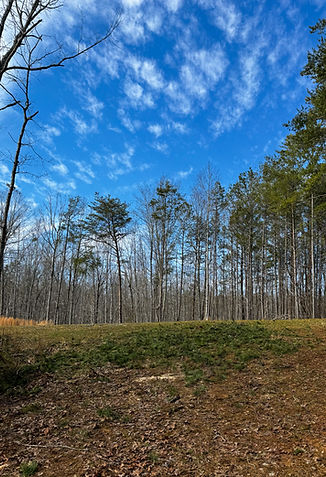 Woodland Works Tree & Stump tree service work
