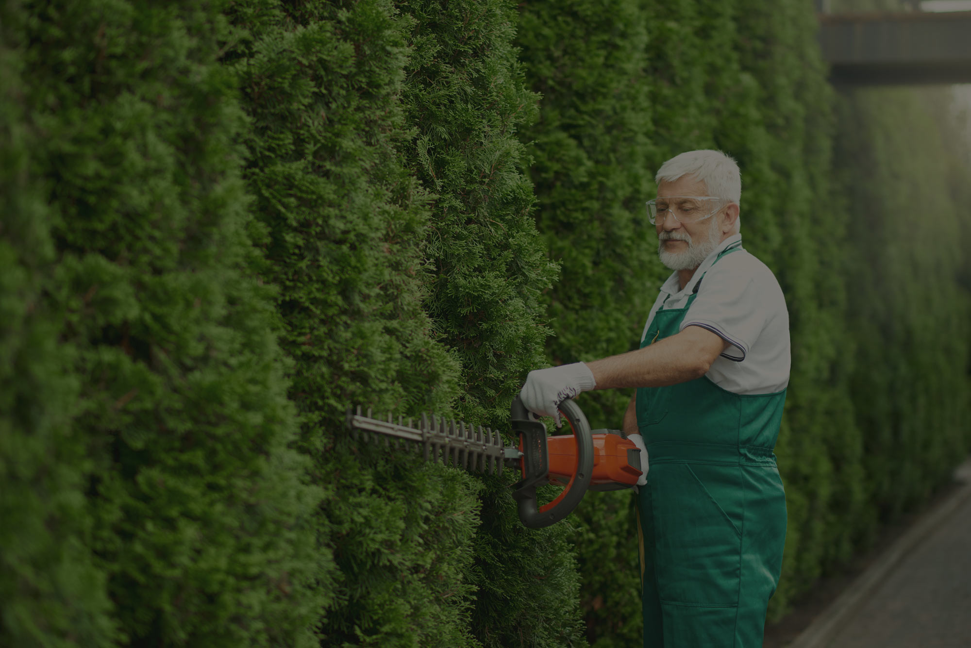 Photo of Perez Affordable Tree Cutting & Reliable Tree Service