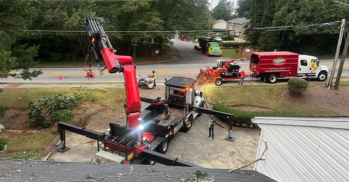 Helene tree removal help.jpg