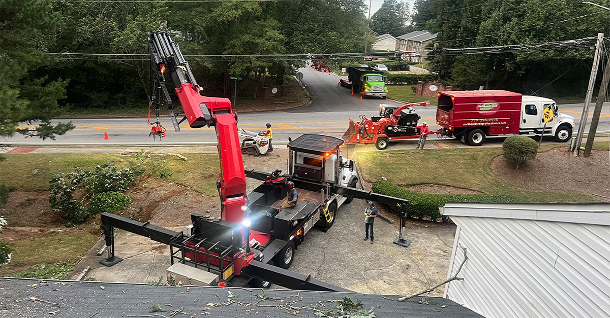 Photo of Atlanta Premier Tree Solutions