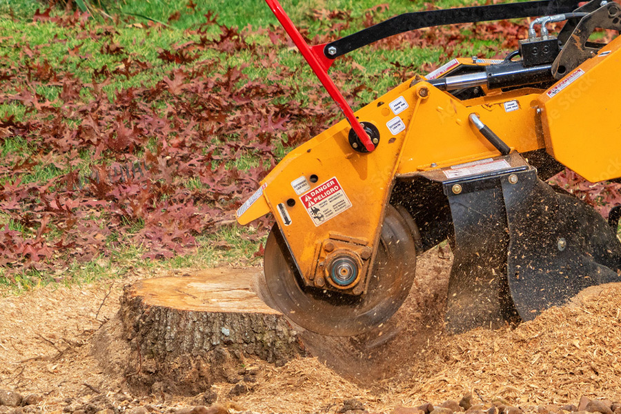 Photo of Tomahawk Tree Service