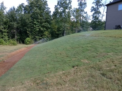 Elegant Landscaping tree service work