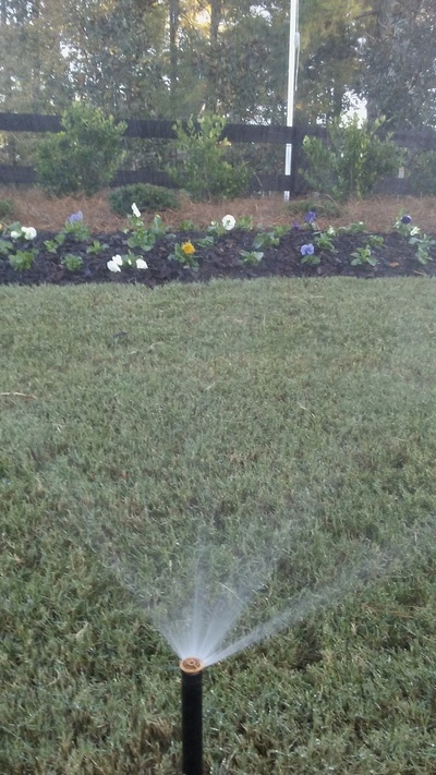 Elegant Landscaping tree service work