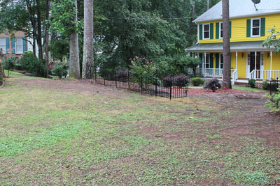 Elegant Landscaping tree service work