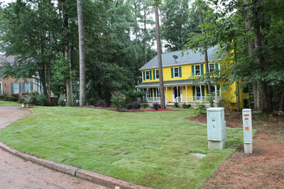 Elegant Landscaping tree service work