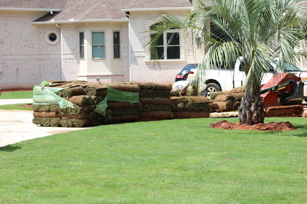 Elegant Landscaping tree service work