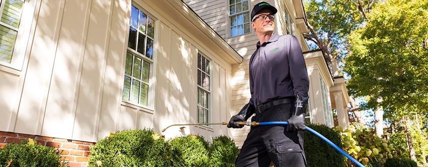 Plus pest control