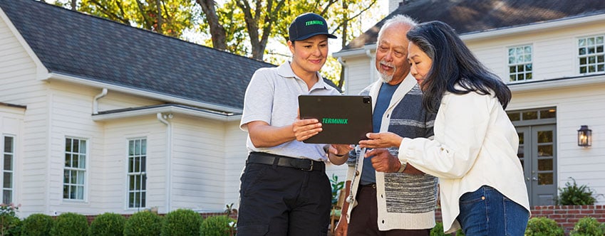 Mosquito control customer min