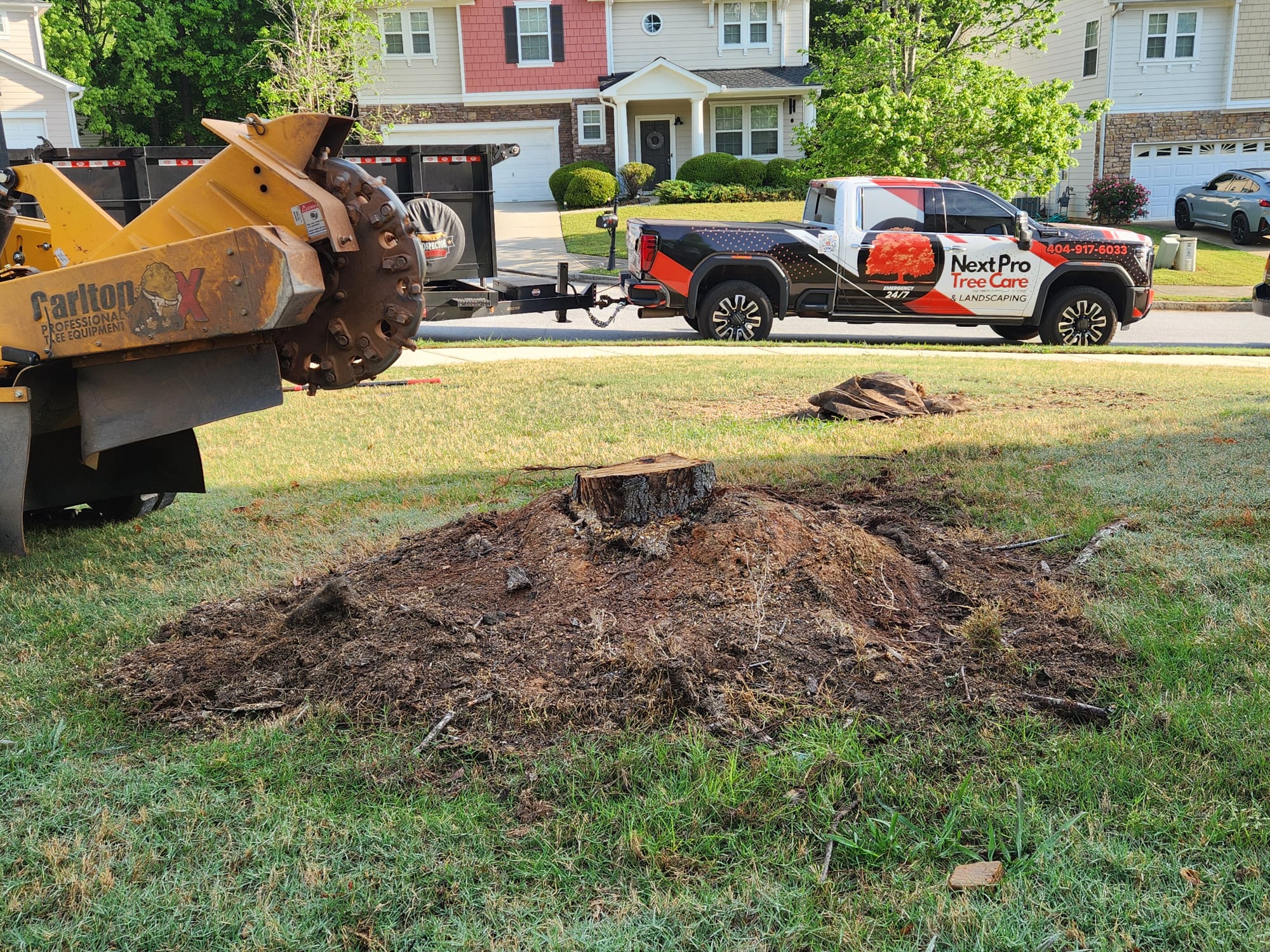 Photo of Next Pro Tree Care