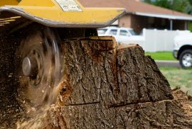 Stump Grinding