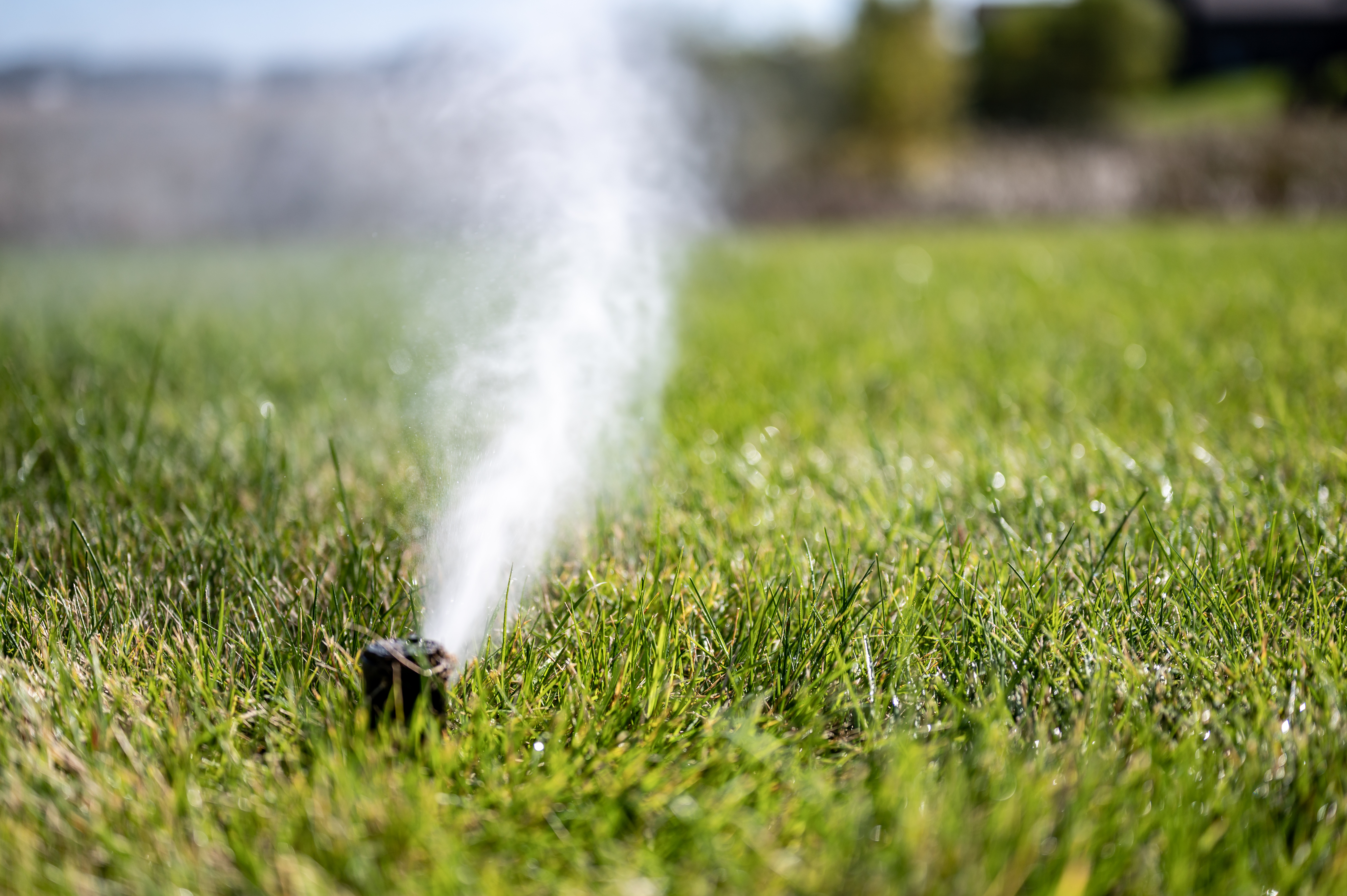 Photo of Southern Outdoors Landscaping