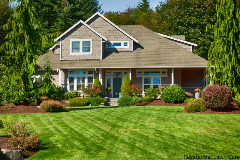 Photo of Southern Stripes Landscaping Solutions LLC