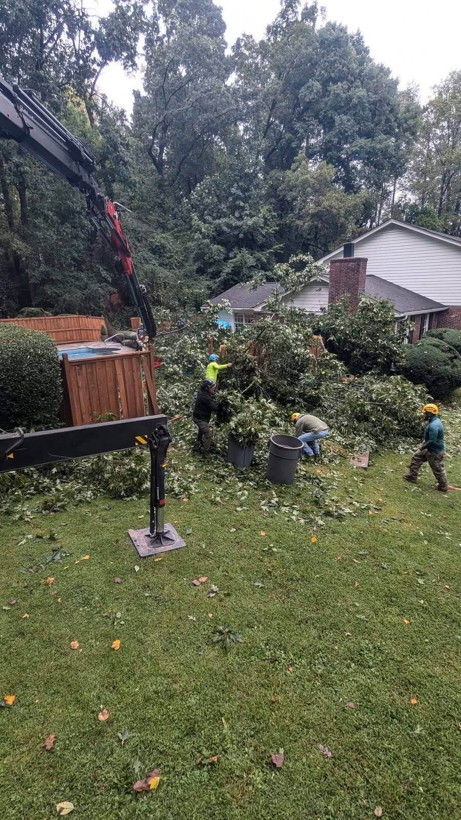 Atlanta ga crew clearing storm debris backyard