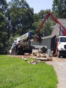 Aable John's Tree Service tree service work