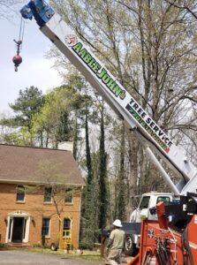 Aable John's Tree Service tree service work
