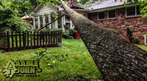 Tree removal services atlanta