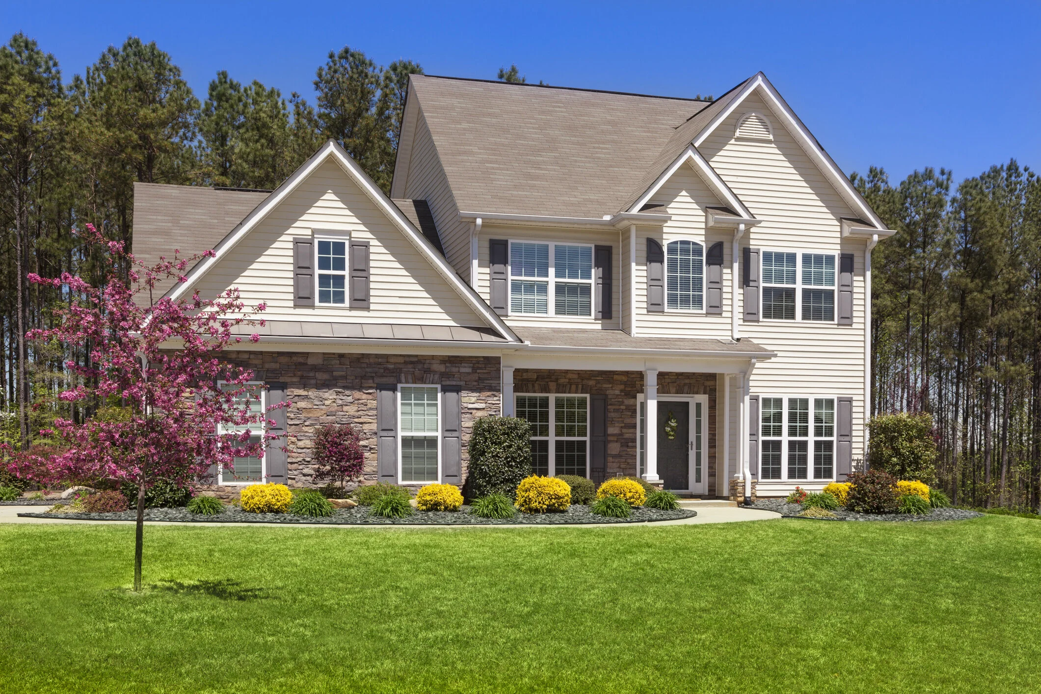 Georgia Superior Lawns tree service work