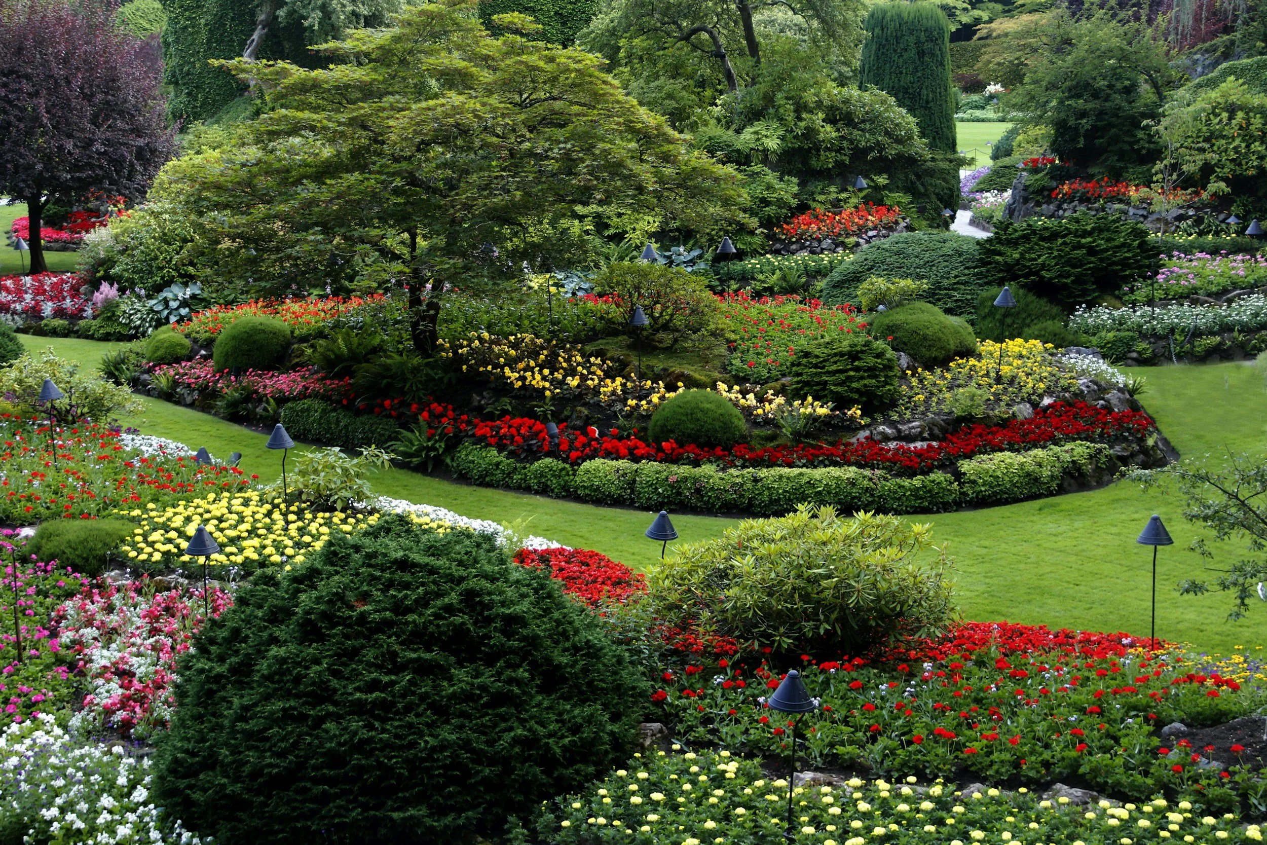 Photo of Georgia Superior Lawns