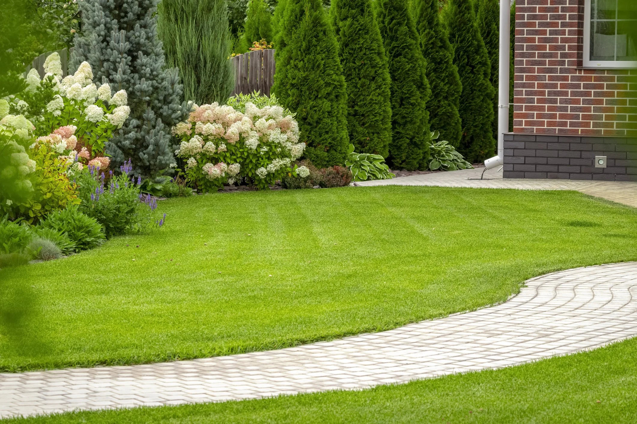 Georgia Superior Lawns tree service work