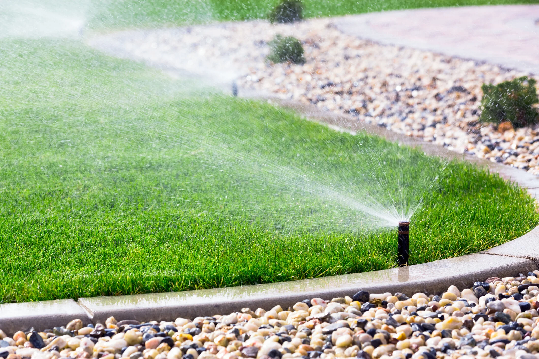 Georgia Superior Lawns tree service work