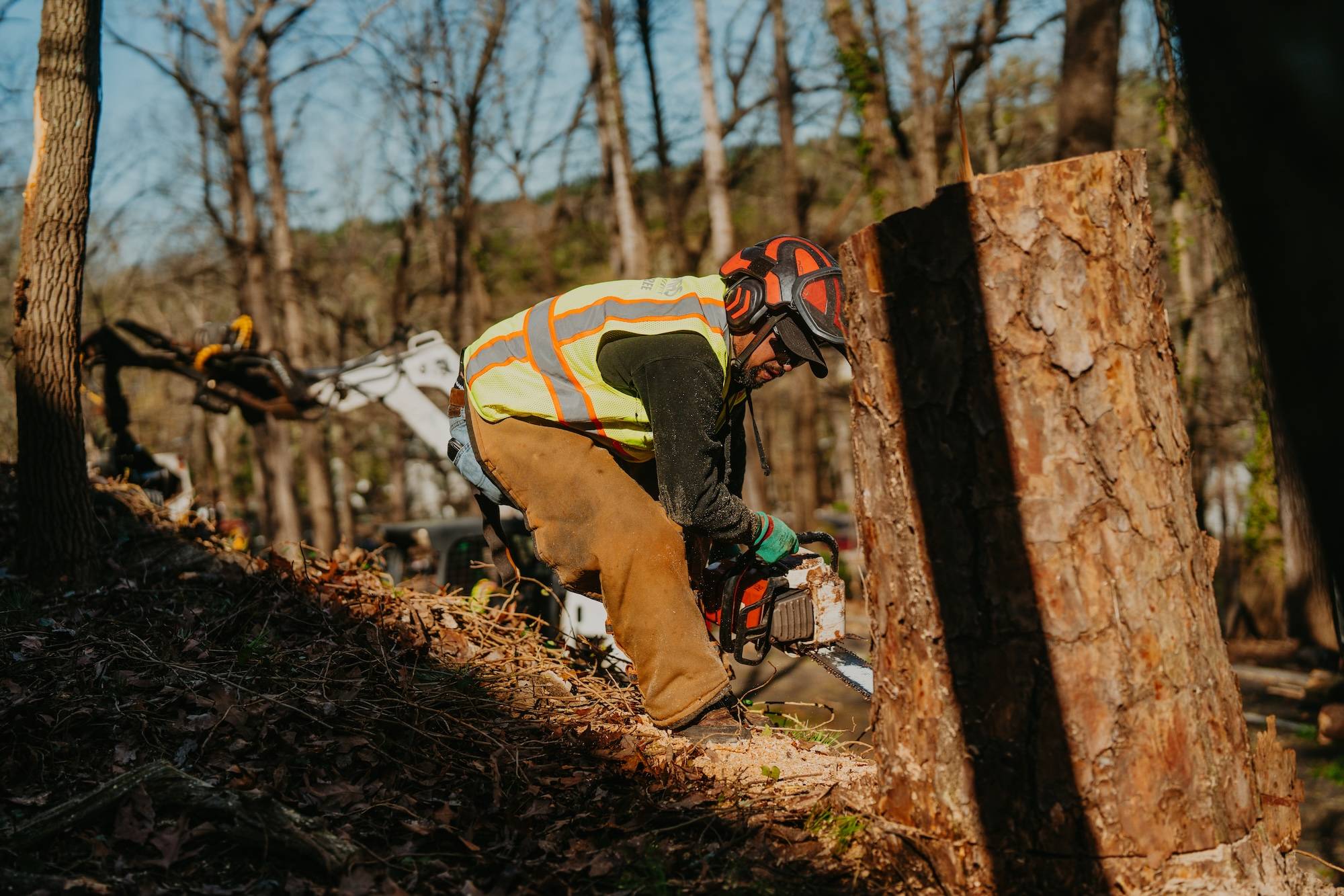Photo of Sesmas Tree Service