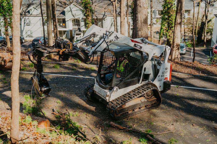 Sesmas Tree Service tree service work