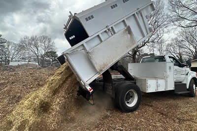 Wood chip free