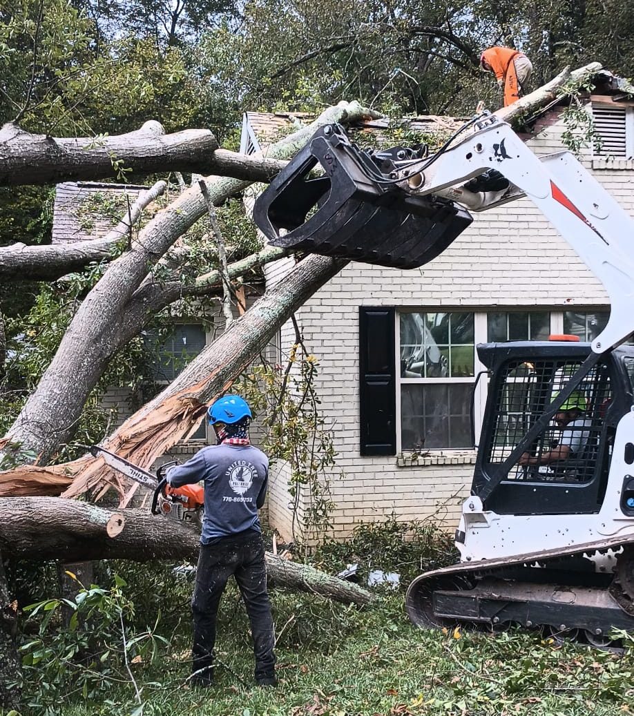 Photo of Dylan's Tree Services & Landscaping