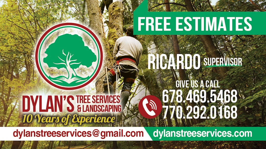 Dylan's Tree Services & Landscaping tree service work