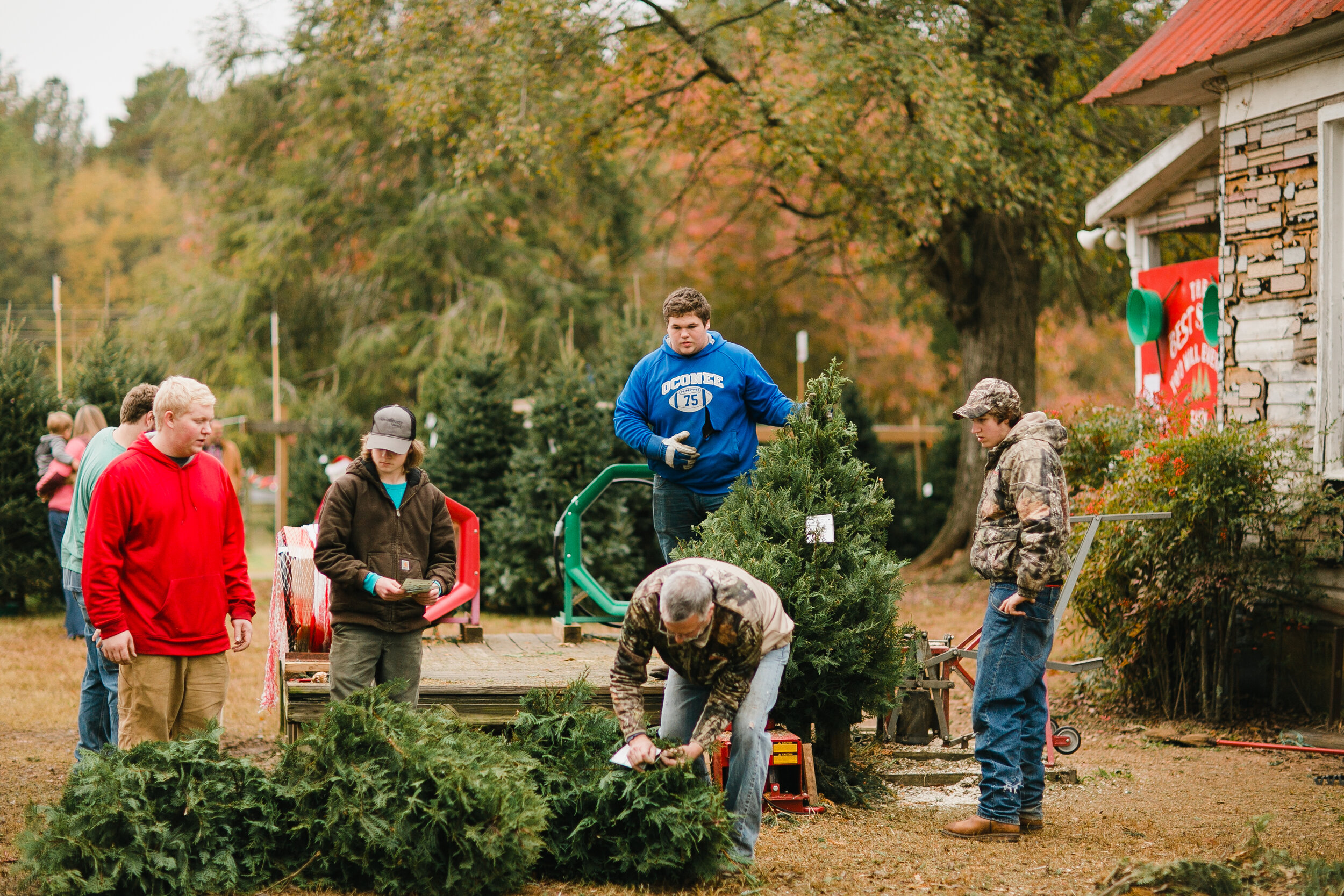 Greenbriar Creek Farm tree service work