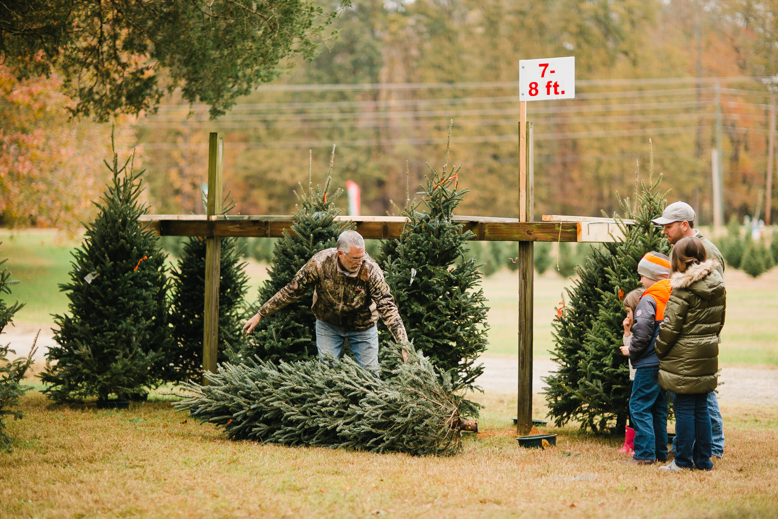 Greenbriar Creek Farm tree service work