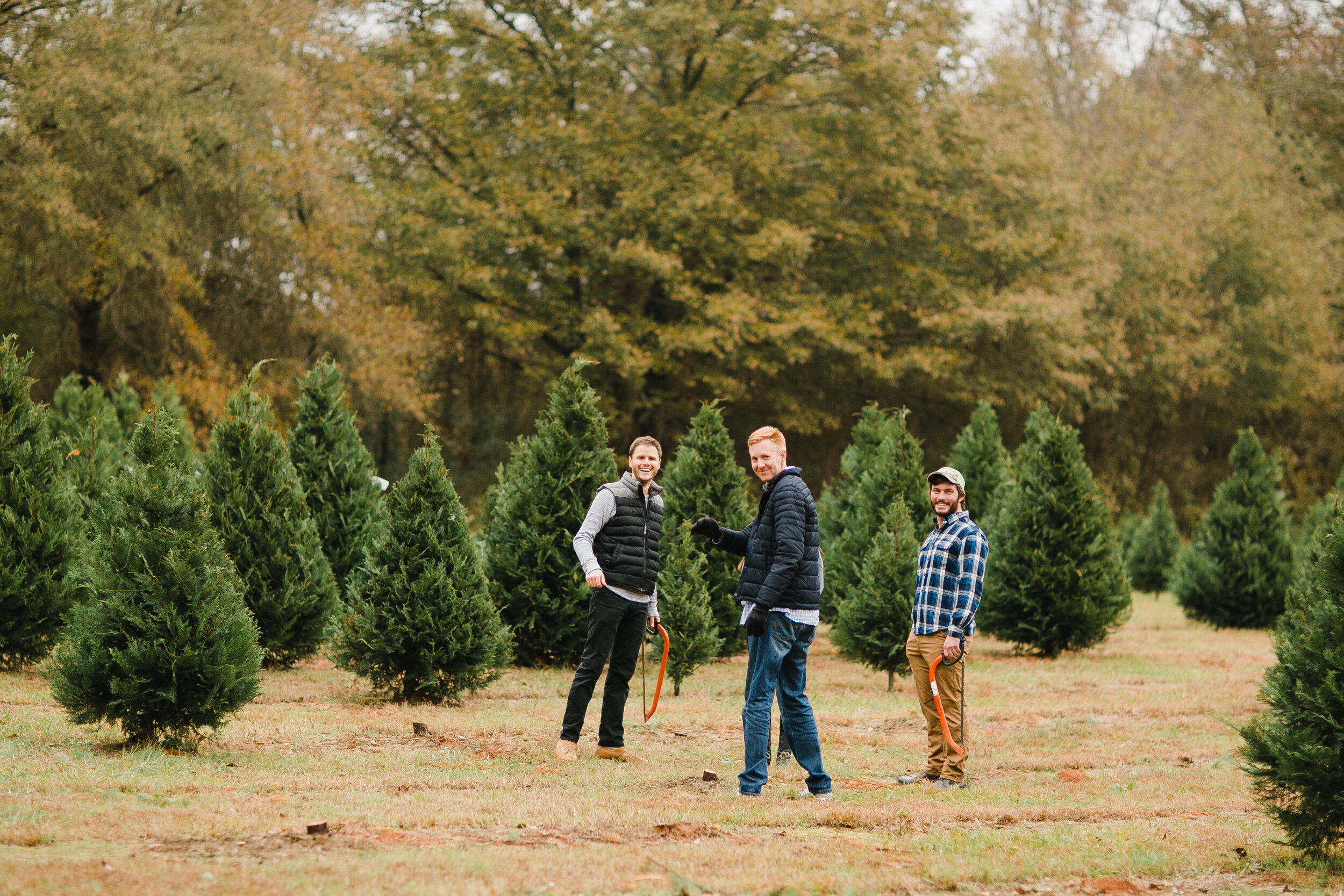 Greenbriar Creek Farm tree service work