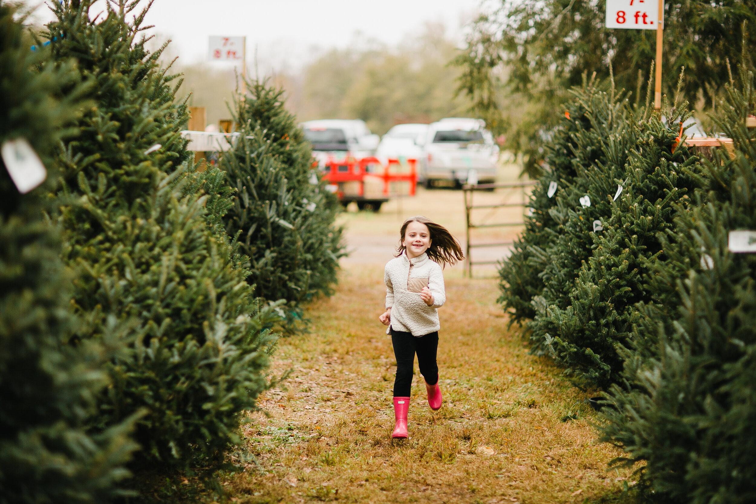 Greenbriar Creek Farm tree service work