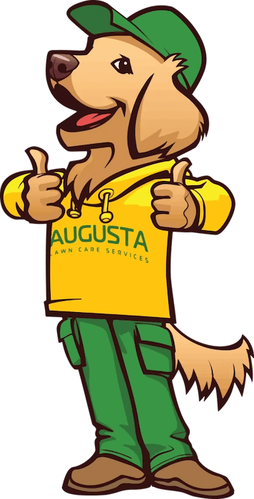 Augusta Lawn Care Services Vector Mascot2 640w+copy+%281%29 1920w