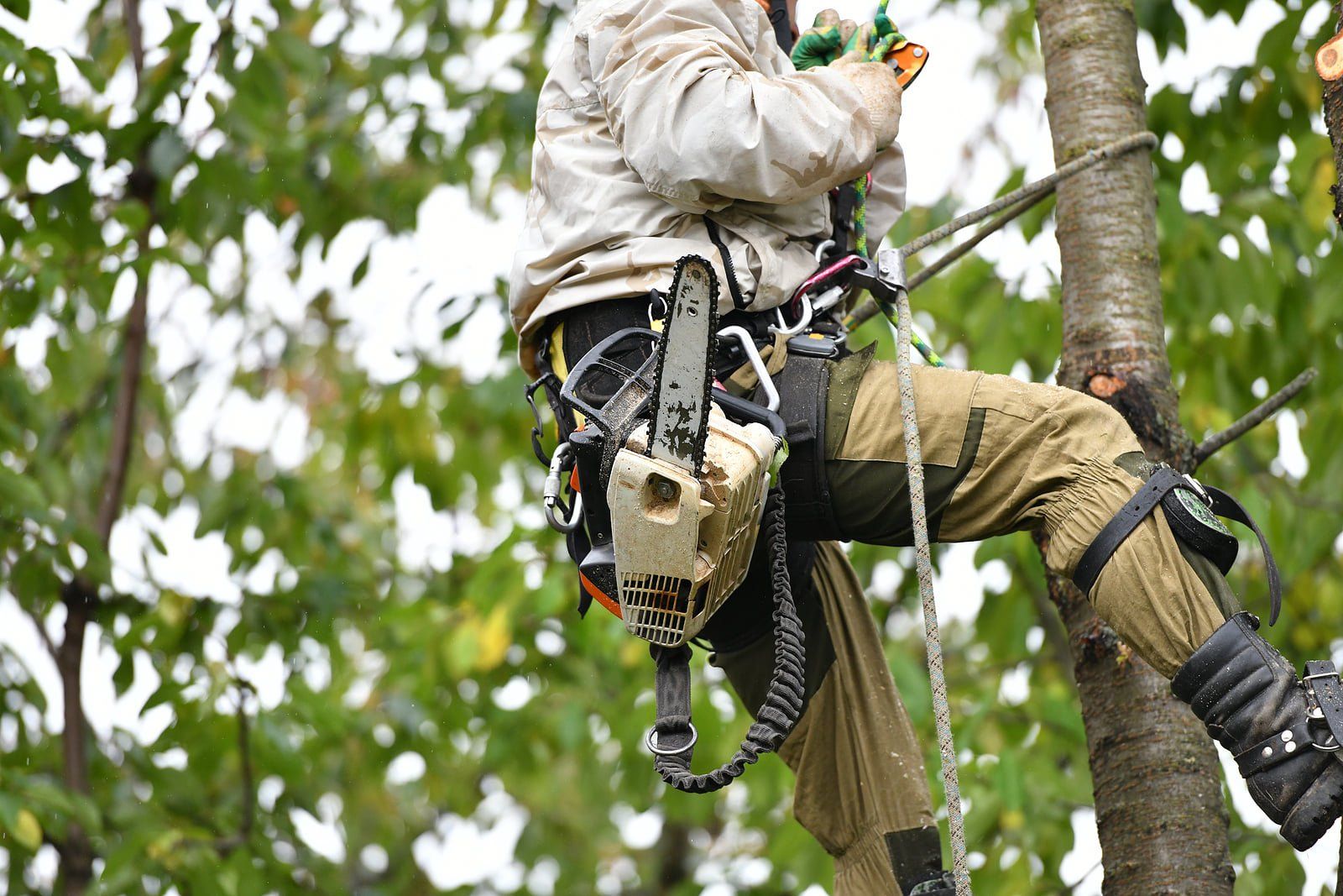 Climber 1920w