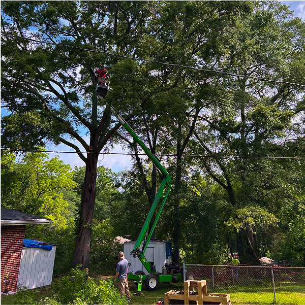 Photo of K&D Landscaping