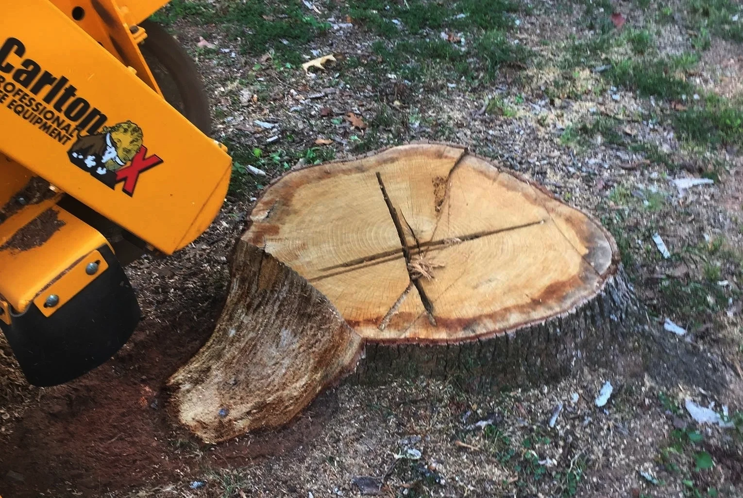 Photo of Simply Stumps Atlanta