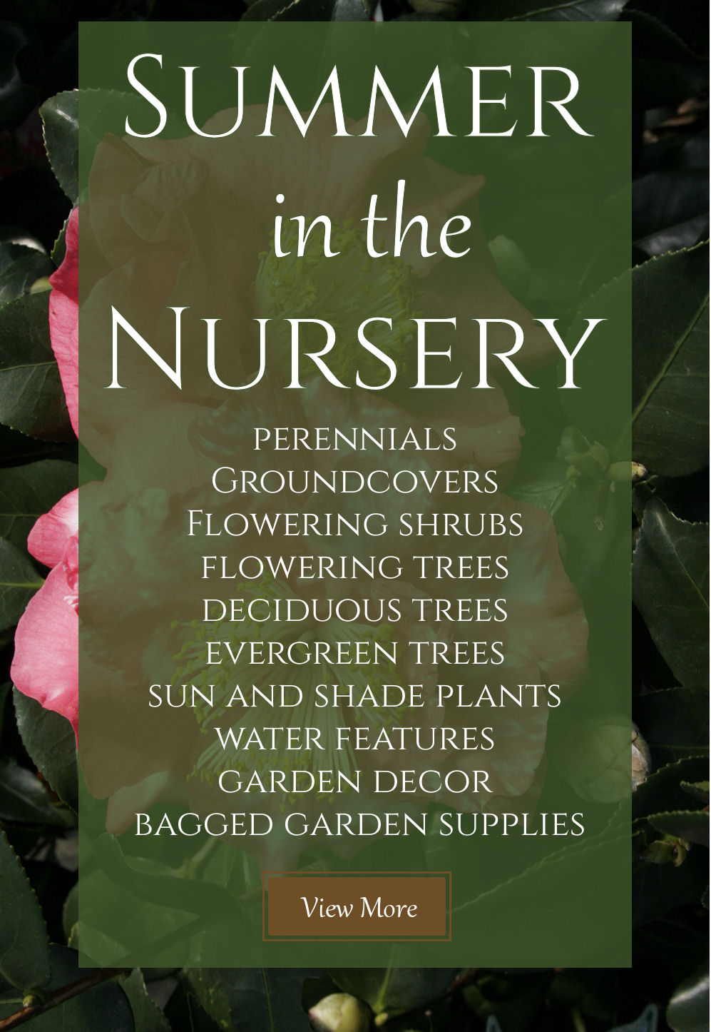 Summer nursery